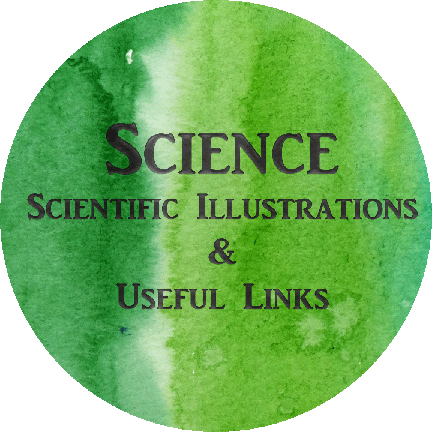 Science - Scientific Illustrations and Useful Links